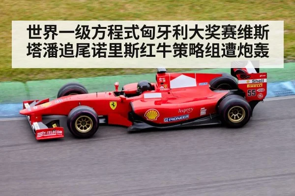 世界一级方程式匈牙利大奖赛维斯塔潘追尾诺里斯红牛策略组遭炮轰