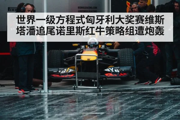 Red Bull racing team